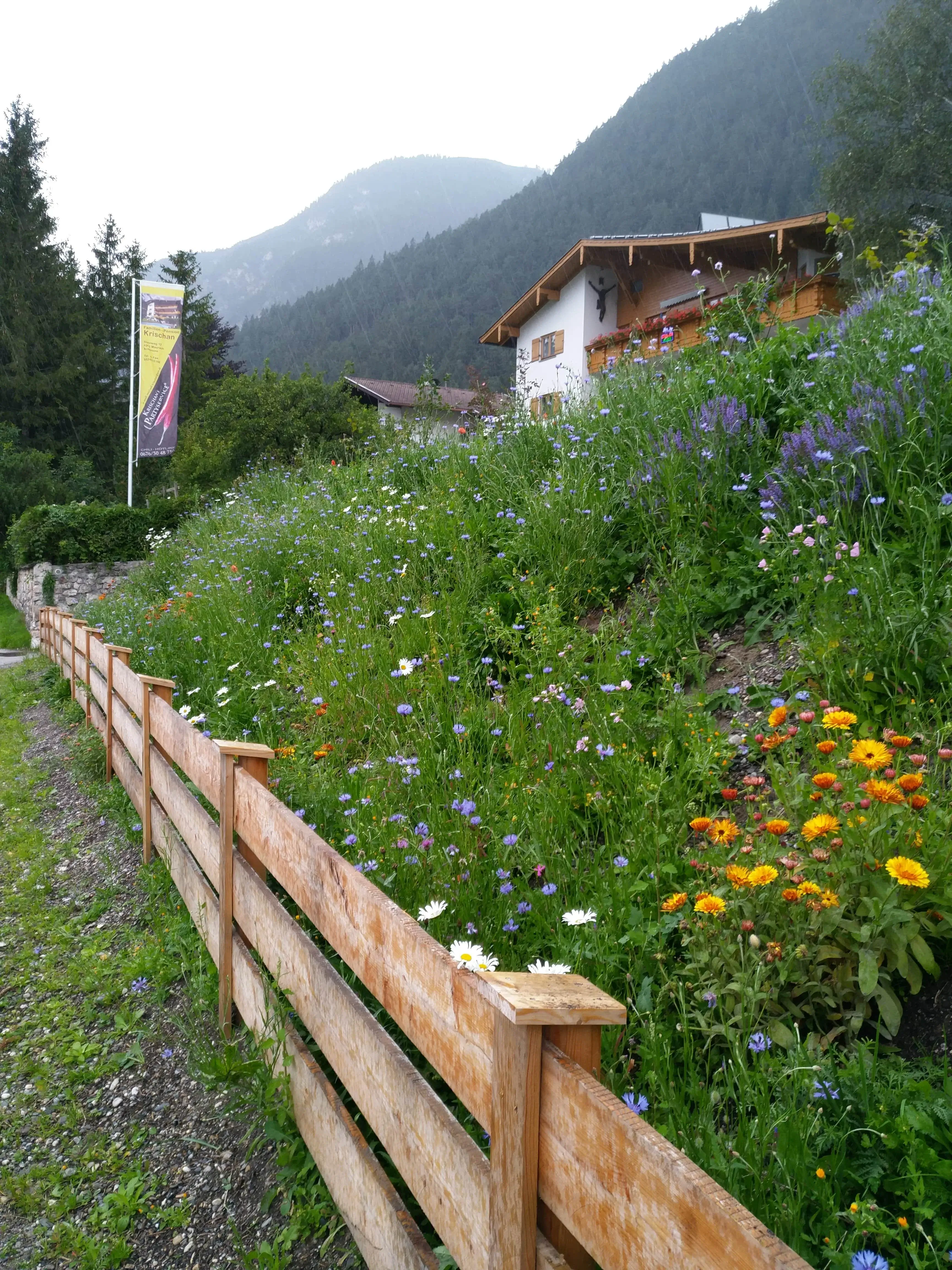 Wildblumen